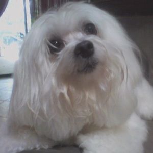 Meet your Posher, Timaretta